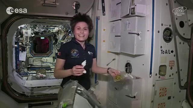 Il buono dei lipidi nel menu della Stazione Spaziale Internazionale