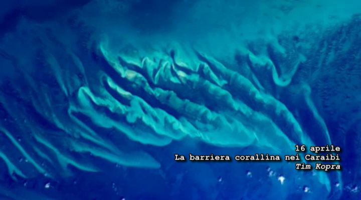 Dai Caraibi alle Piramidi - Cartoline dalla Cupola #16