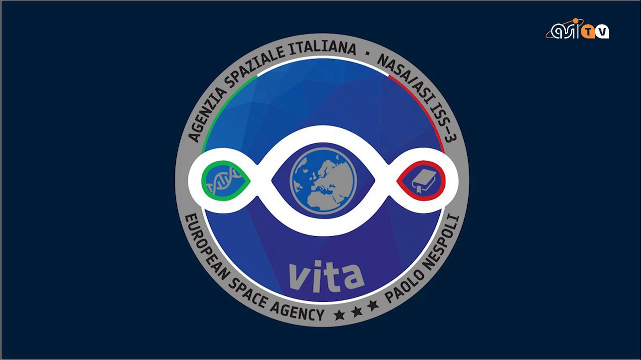 Pillole di VITA #4