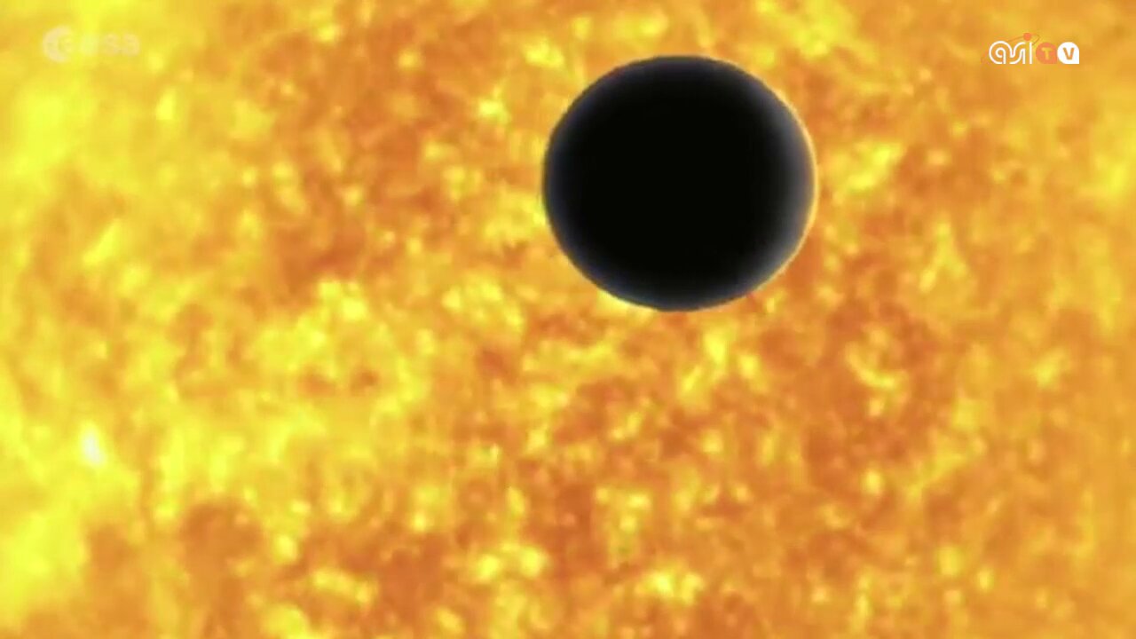 Le ali di Bepi