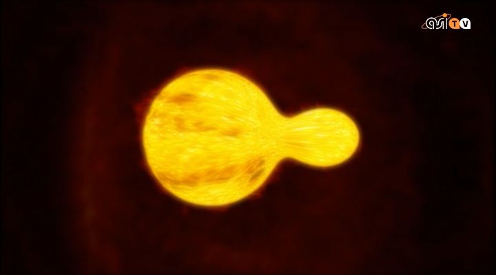 Un'arachide ipergigante nel cielo australe