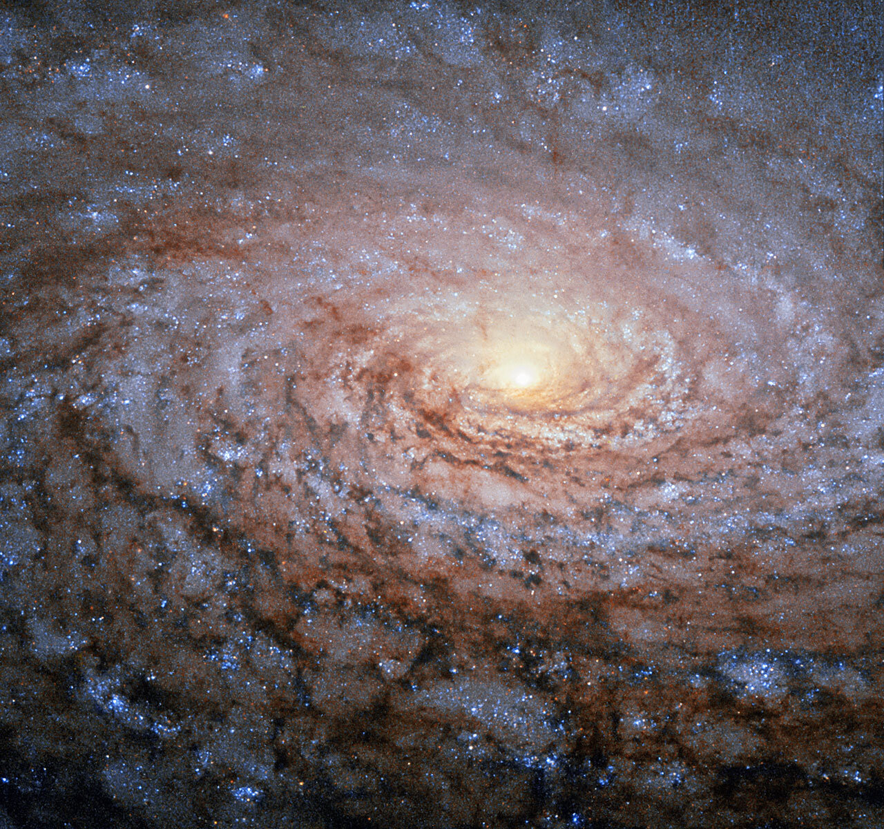 Hubble avvista il girasole galattico