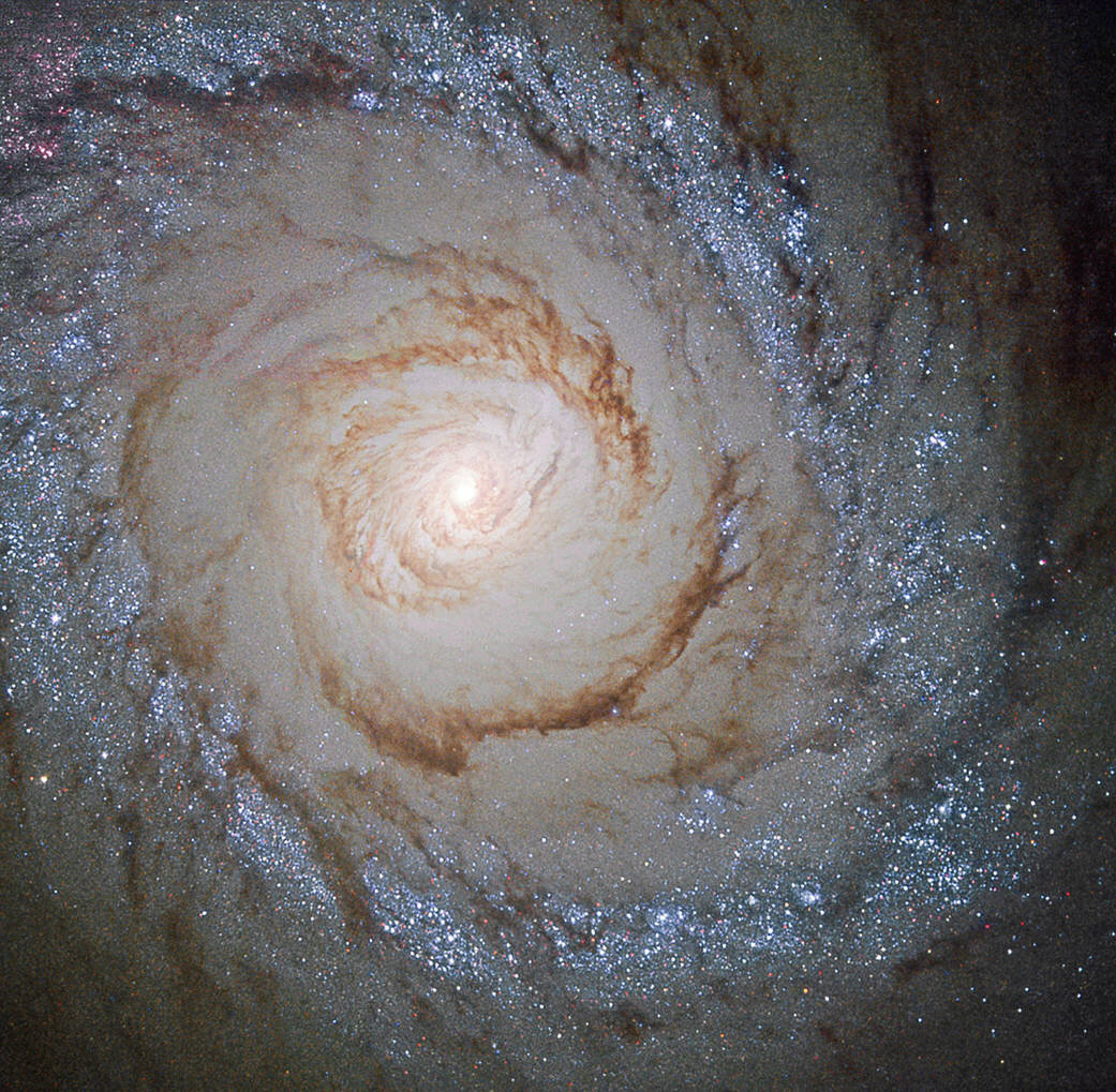Colpo d'occhio su Messier 94