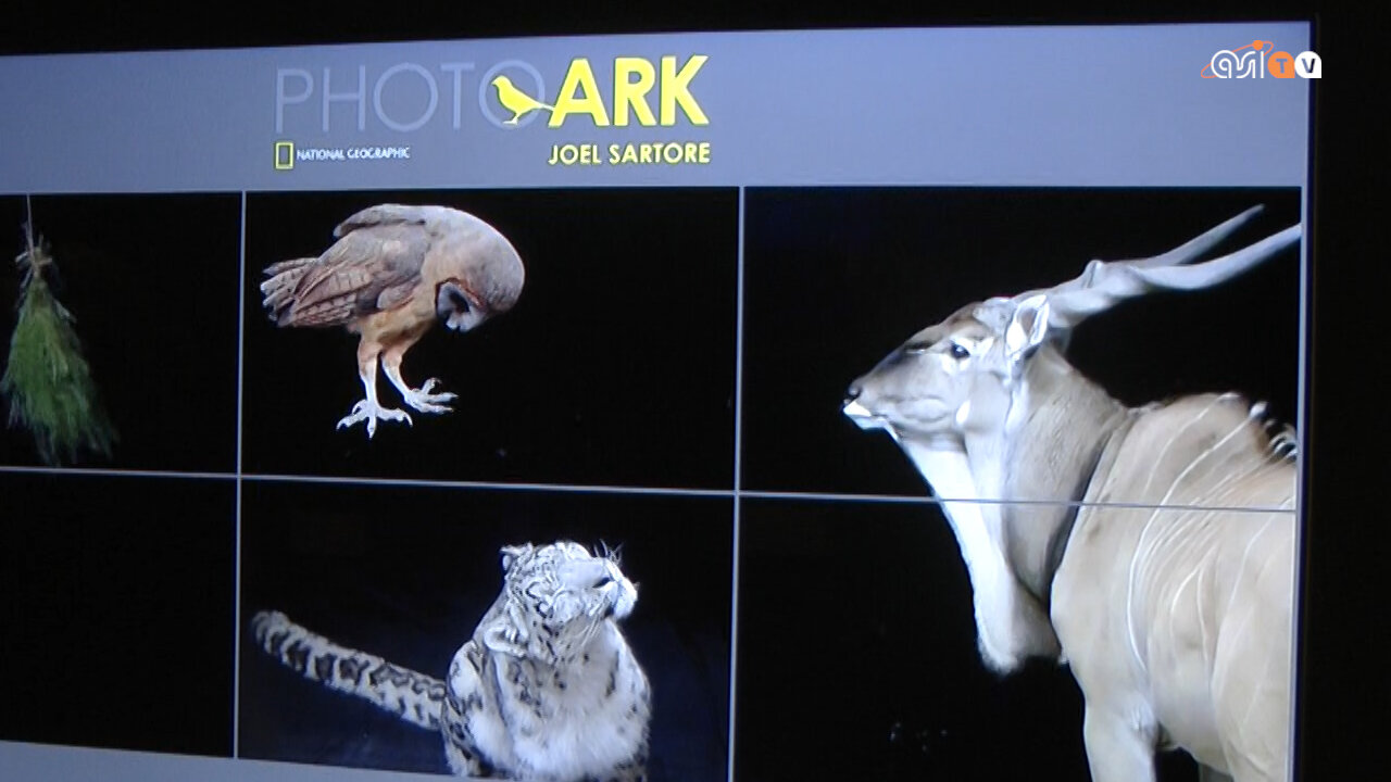 Il Festival delle Scienze presenta l'arca di Joel Sartore
