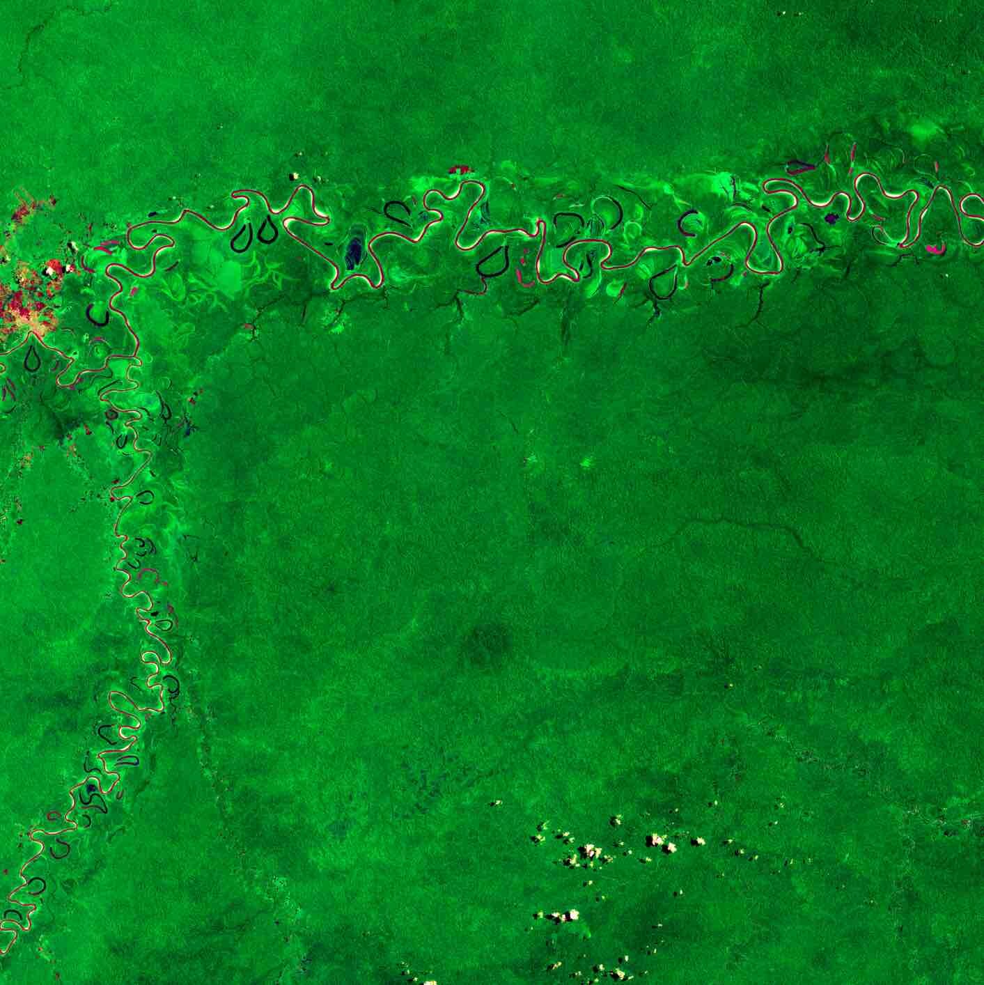 Dallo Spazio le mappe delle biomasse forestali