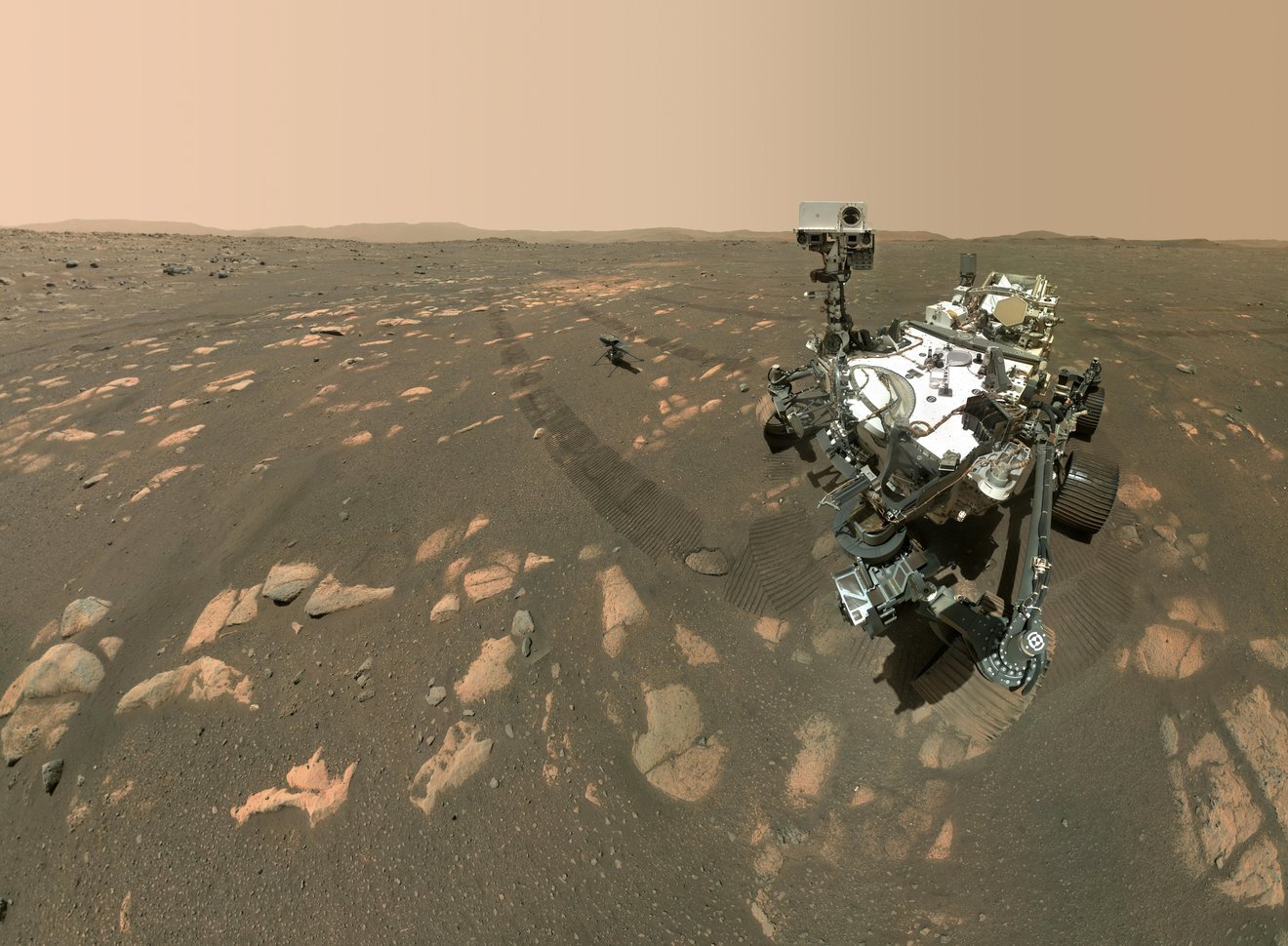 Selfie marziani per Perseverance e Zhurong