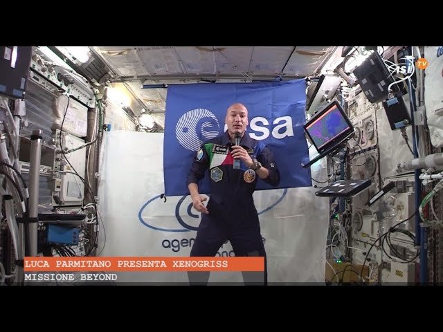 Luca Parmitano presenta l'esperimento Xenogriss