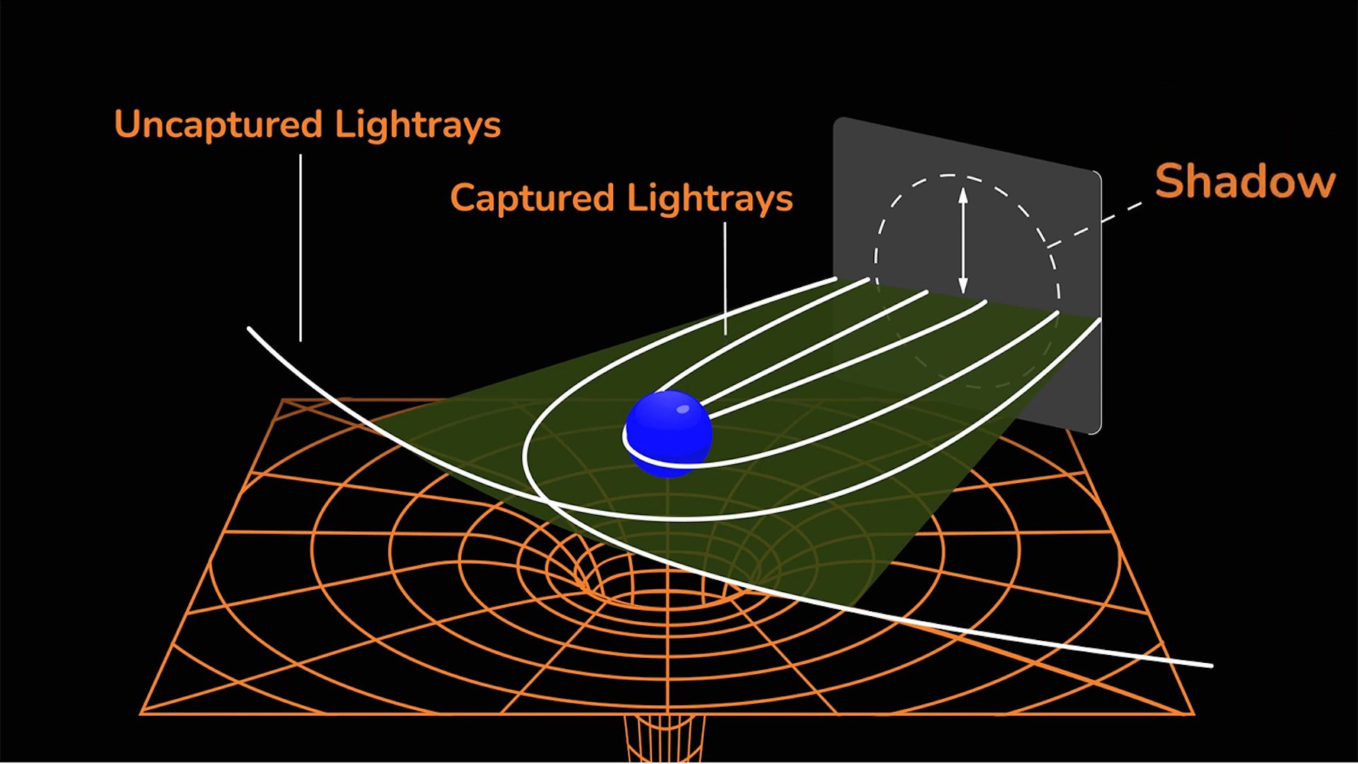 Studiarne l’ombra per far luce sui buchi neri