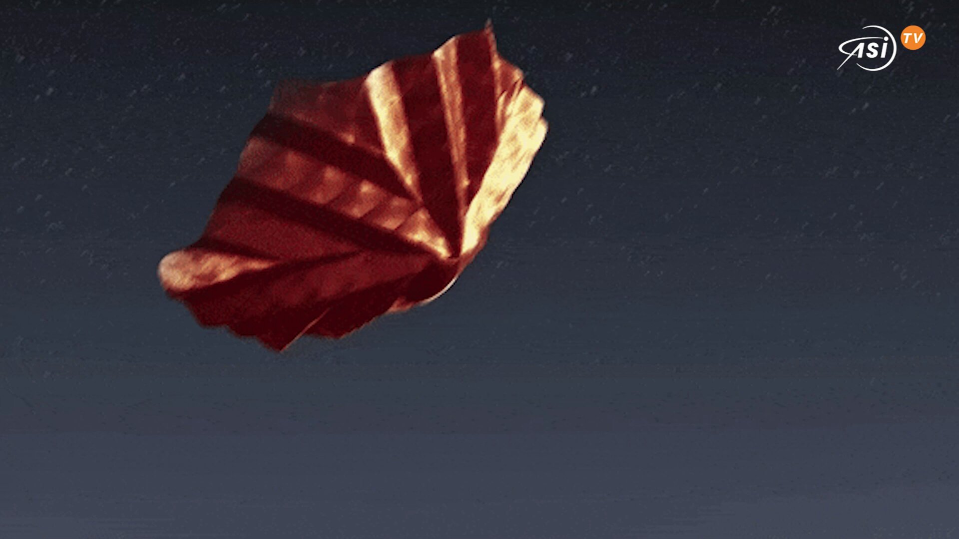 Uno scudo origami riutilizzabile