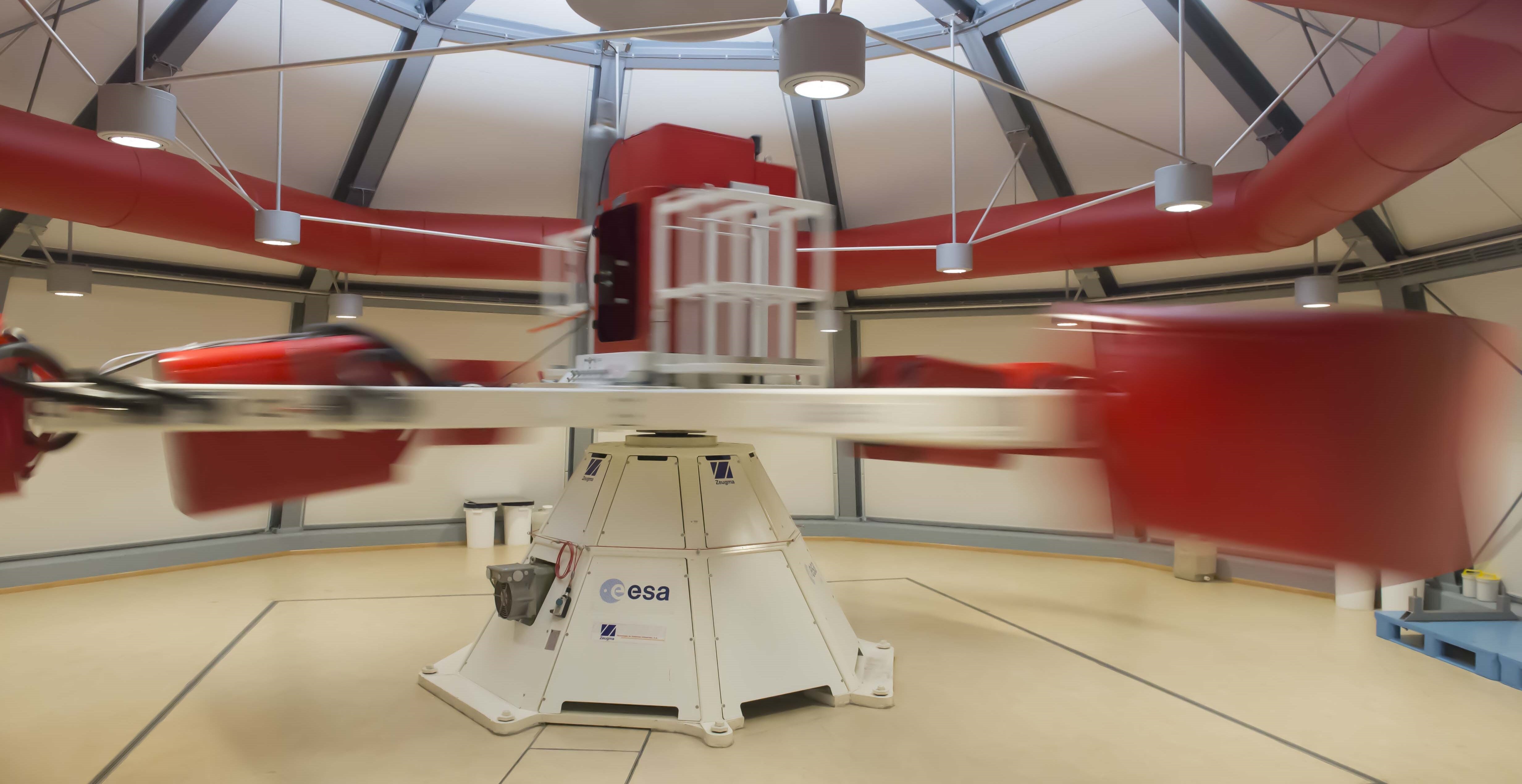 Colonie fungine nello spazio tra rischi e opportunità