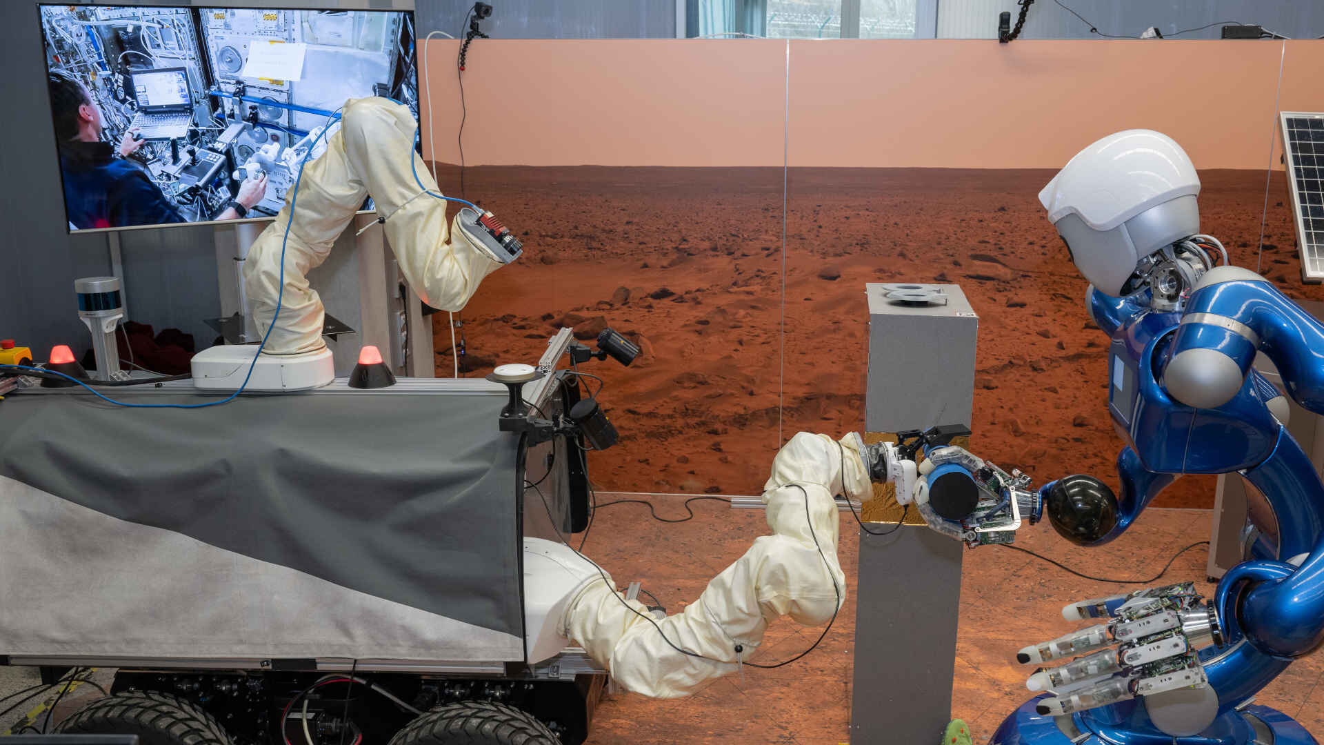 Bert, il futuro cane spaziale