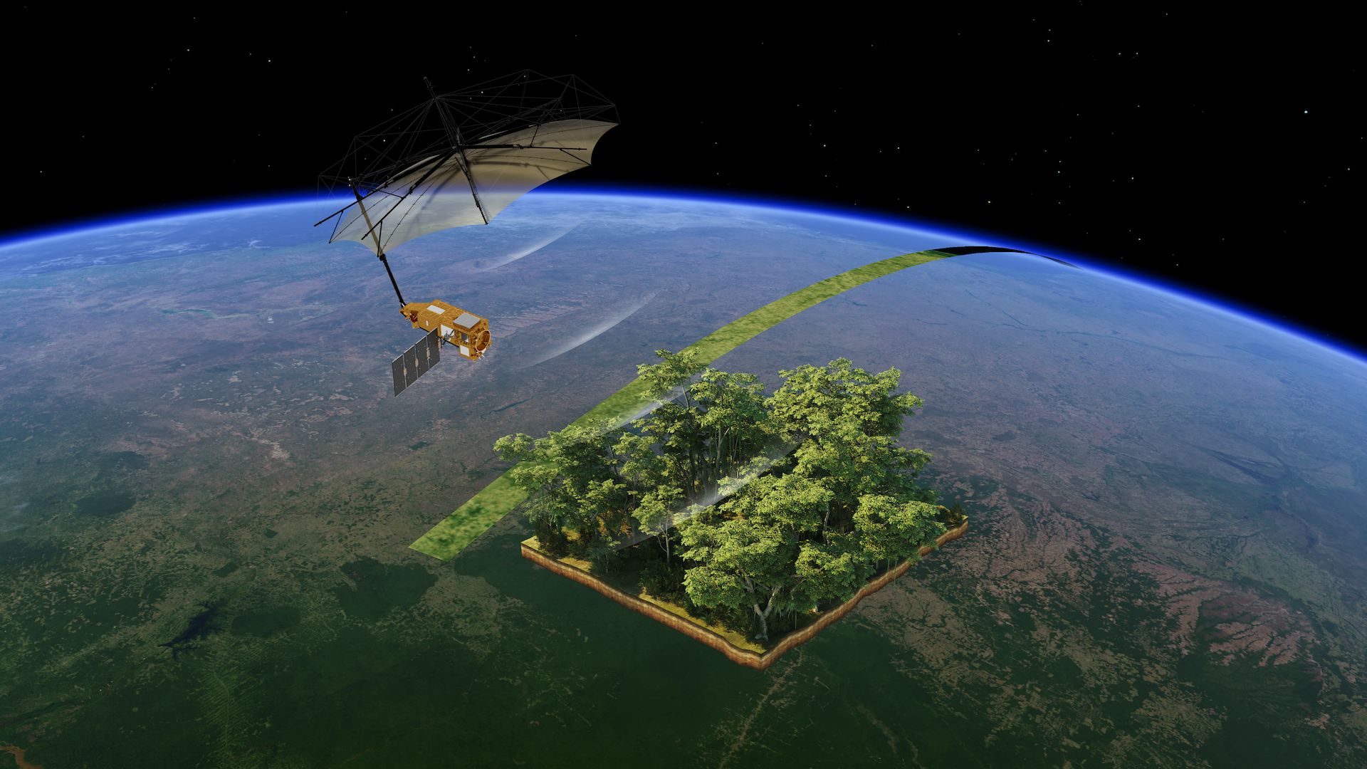 La missione Biomass di Esa restituisce le sue prime immagini delle foreste del mondo