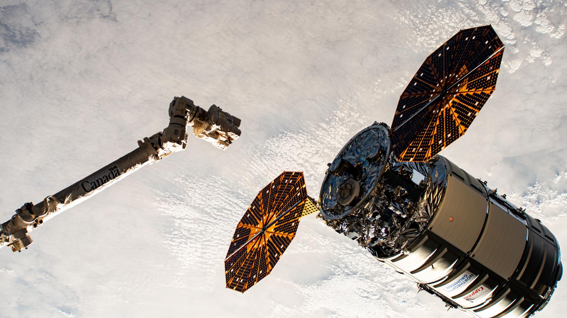 Cygnus debutta in versione 'extra large'