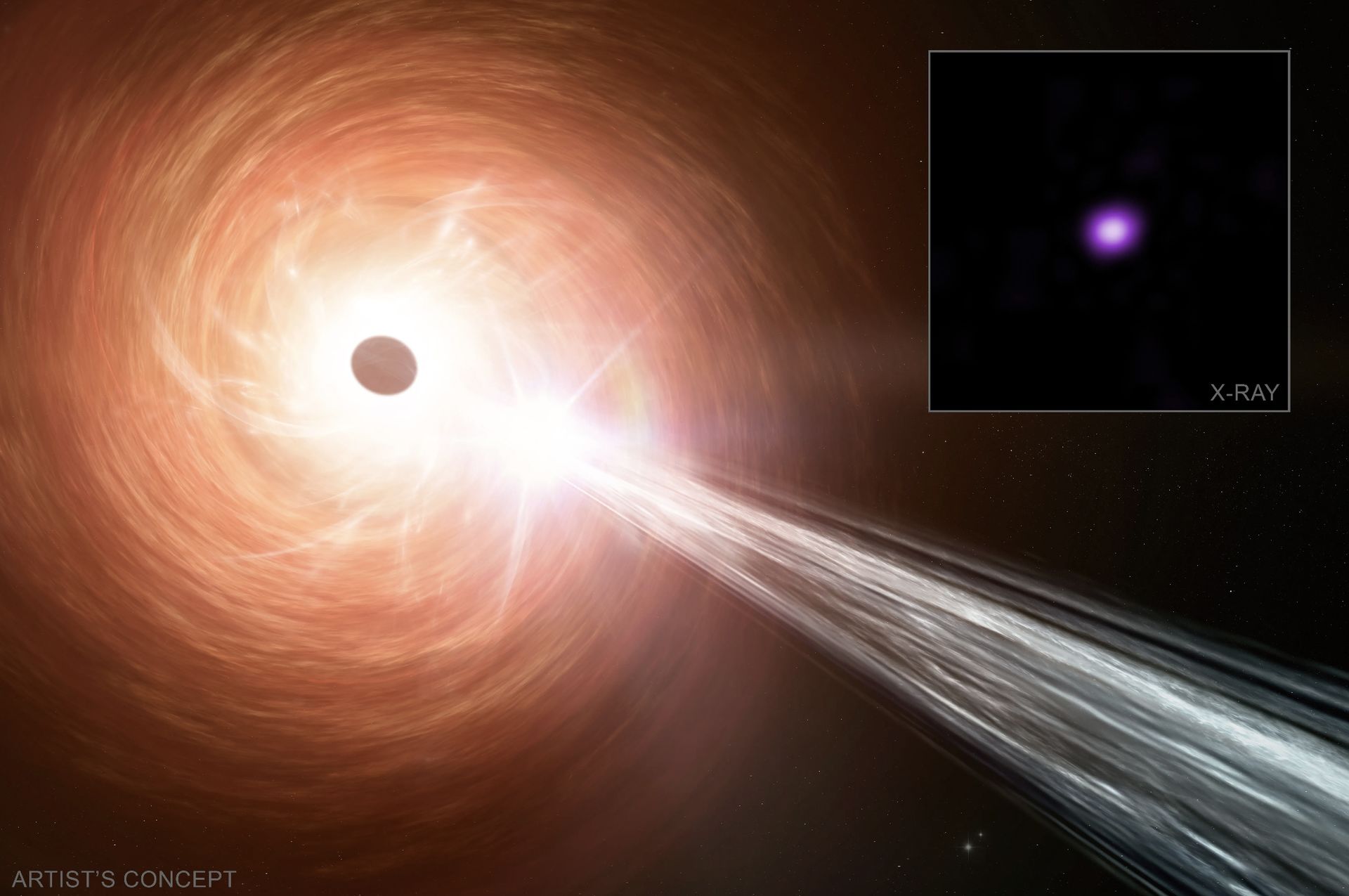 Il buco nero che cresce a passi da gigante