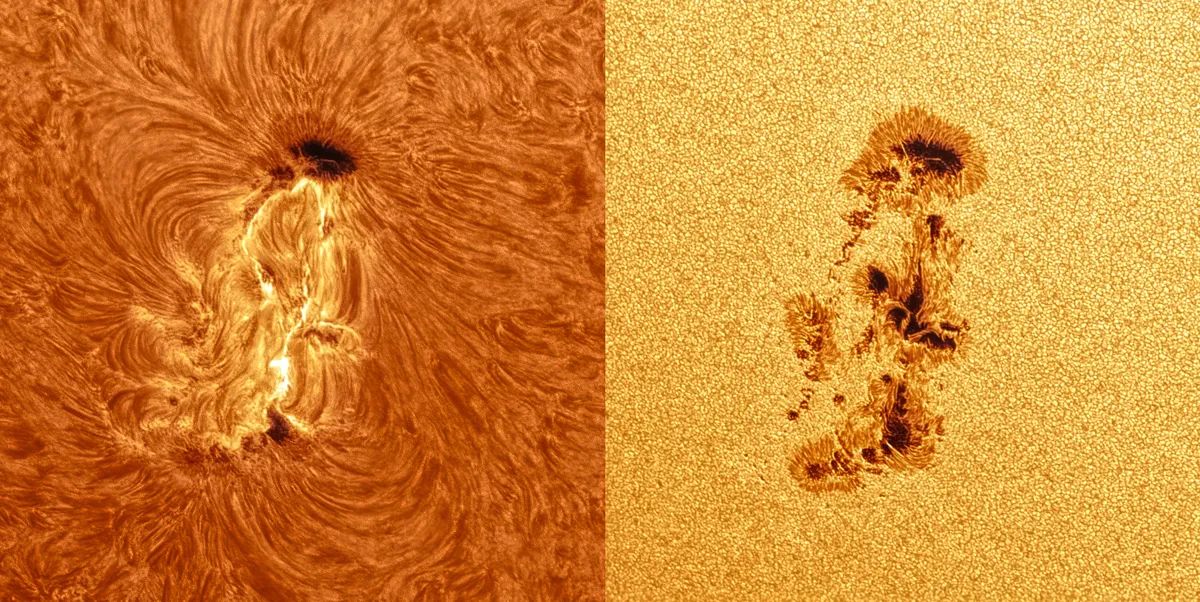 Una gigantesca macchia domina la superficie del Sole