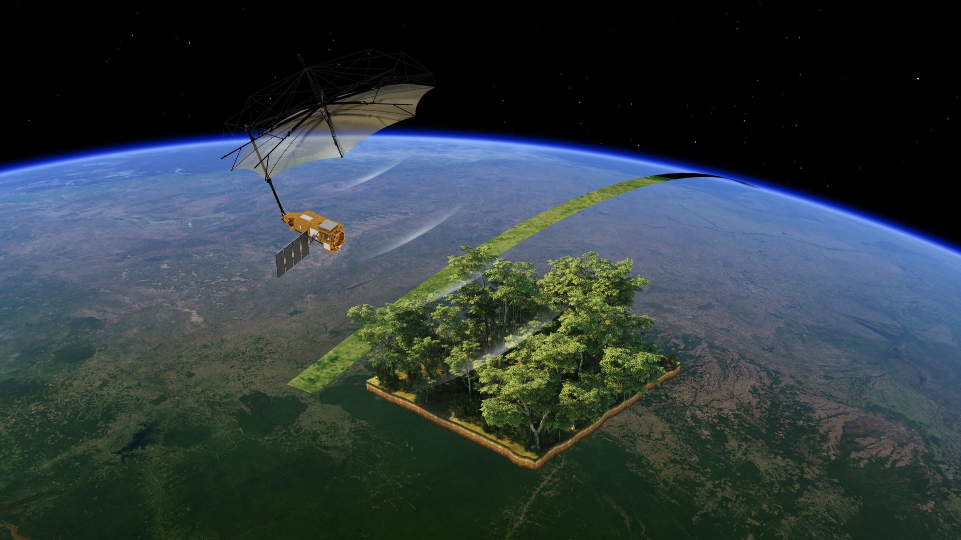 Il satellite che vede dentro le foreste: un anno di Biomass